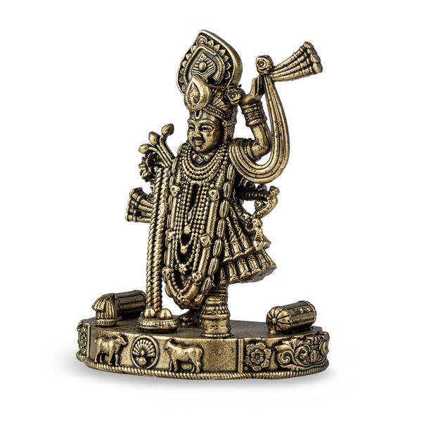 Brass Shrinathji Idol